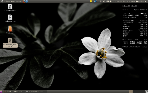 Ubuntu 10.04 RC