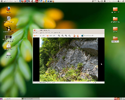 Ubuntu 10.10 GNOME Radiance