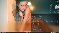 Openbox + DarkFiberDark