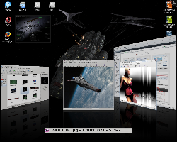 Mandriva 2009.1 x64, KDE 4.2.2