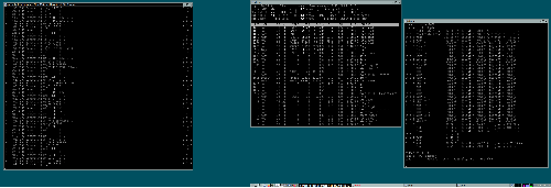 RiscySlack + IceWM  (+ Gentoo v chrootu)