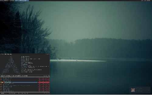 Arch: Openbox s comptonom a tint