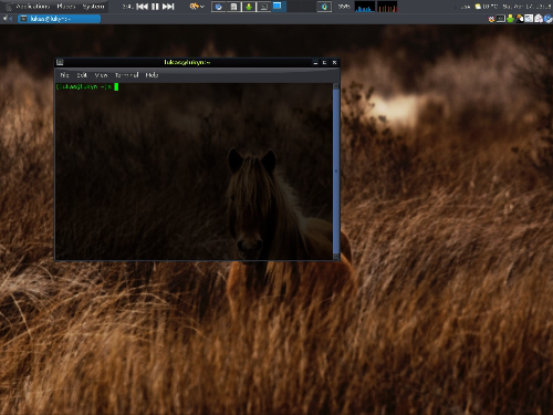 Arch Gnome 2.30