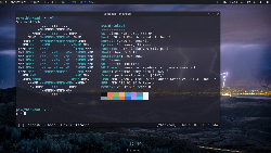 Linux Mint 20.1 Cinnamon