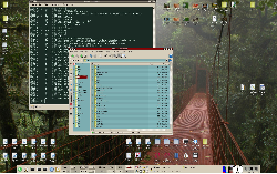 BigWrigley - KDE + Intrique Icons