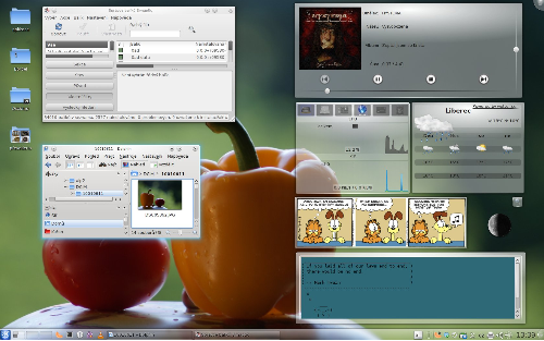 KDE 4.6 Mint 11 Julia