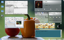 KDE 4.6 Mint 11 Julia