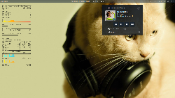 GNOME3 (14.04)