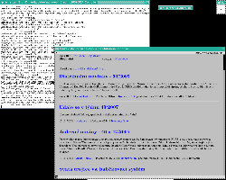 Při instalaci gentoo (twm bez čehokoliv jiného)