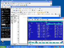 Windows XP + andLinux