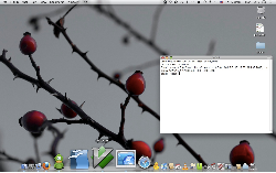 Notebooko-desktop
