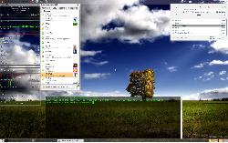 Gnome 2.28.1, Compiz, Emerald