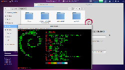 Debian 10 Buster