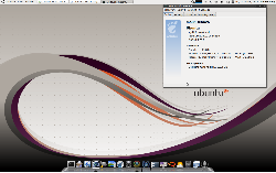 Ubuntu 10.04LTS