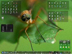 Aktualni desktop: KDE 4.4.5, Debian Testing