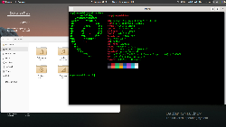 Debian 13 - stále...