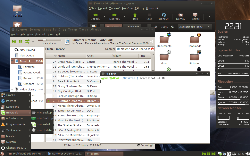 Linux Mint 5 x64 + GNOME