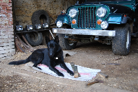 Jeep - montáž pérování, obrázek 2