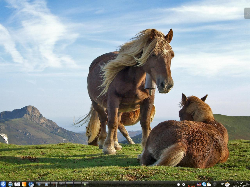 KDEmod 4.3.3 horses