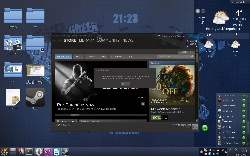 Steam na Linuxu, zavřená beta