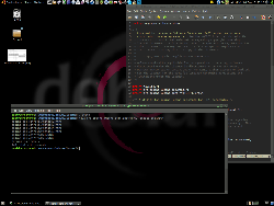 Dark Ubuntu with Debian flavor