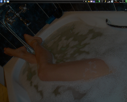 Gentoo KDE 4.3.1 Elegance ~AMD64