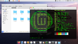 LM 20 macOS