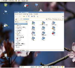 freshmousovo GNOME na Ubuntu (září 2007)