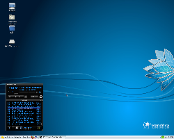 Mandriva 2010.0 GNOME