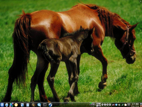 ArchLinux KDE 4.4.1