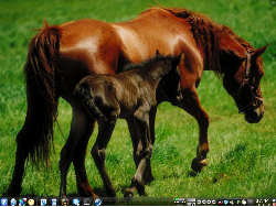 ArchLinux KDE 4.4.1