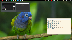 stále Arch a GNOME 3.22 + dash-to-panel