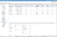 NetApp SVM