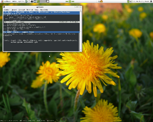 Gnome, Clearlooks Wise