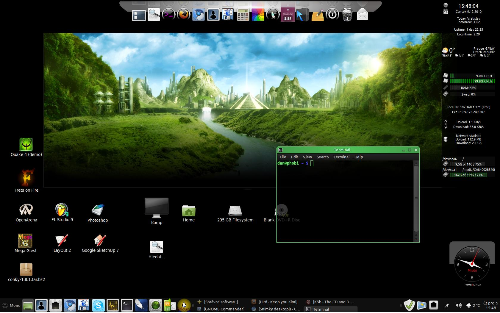 Linux Mint