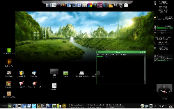 Linux Mint