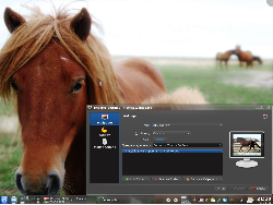 KDE 4.4 Horses