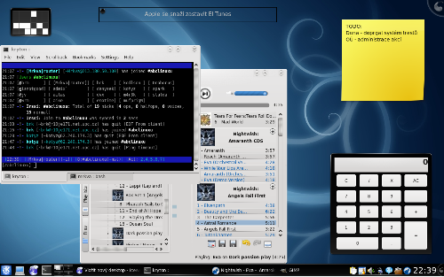 Debian Sid - KDE 4.1