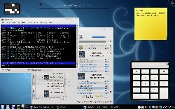 Debian Sid - KDE 4.1