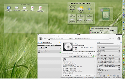 Arch Linux, KDE 4.4