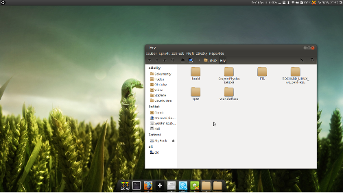 Ubuntu 12.04 + Cinnamon