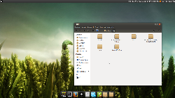 Ubuntu 12.04 + Cinnamon