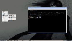 Lubuntu a Flux