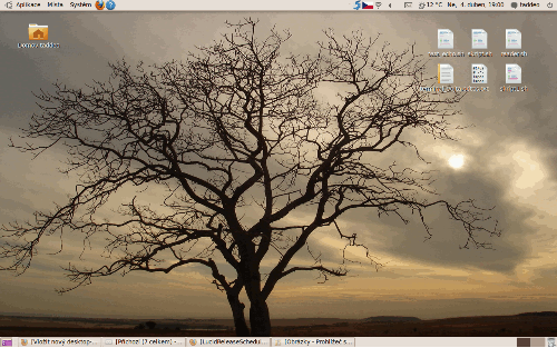 Ubuntu 10.04&Gnome