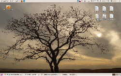 Ubuntu 10.04&Gnome
