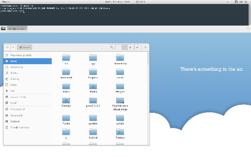 Manjaro + Gnome Shell