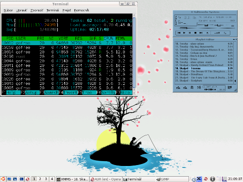 icewm na IBM Thinkpad T21