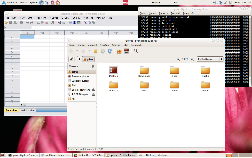 Archlinux Gnome