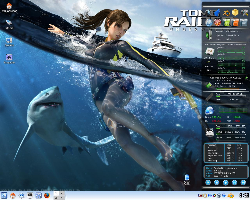 Gentoo 2008 + Kde 3.5.9 + system monitor