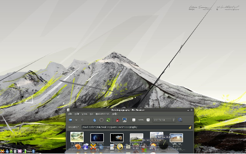 debian + cairo-dock-2.2